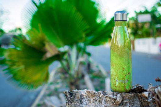 ORIGINAL 17oz  WATER BOTTLE Mount Olive